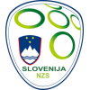 Dres Reprezentacije Slovenija