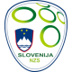 Dres Reprezentacije Slovenija