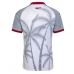 Haiti Gostujuci Dres Ženska SP 2026 Kratak Rukav Haiti Gostujuci Dres Ženska SP 2026 Kratak Rukav