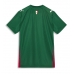 Palmeiras Domaci Dres 2026-27 Kratak Rukav