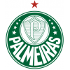 Palmeiras Retro