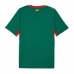 Senegal Gostujuci Dres SP 2026 Kratak Rukav Senegal Gostujuci Dres SP 2026 Kratak Rukav