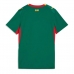 Senegal Gostujuci Dres Ženska SP 2026 Kratak Rukav Senegal Gostujuci Dres Ženska SP 2026 Kratak Rukav