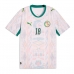 Senegal Ismaila Sarr #18 Domaci Dres SP 2026 Kratak Rukav Senegal Ismaila Sarr #18 Domaci Dres SP 2026 Kratak Rukav