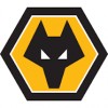 Wolves Golman